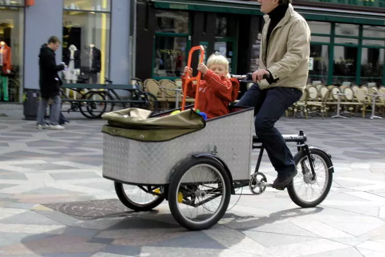 Una bicicletta cargo per portare a passeggio i bambini o altre cose.