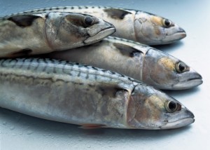 Pesce azzurro, Omega 3.