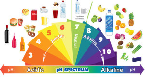 ph degli alimenti.